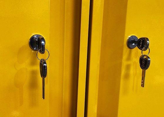 خرید Chemical Storage Cabinet with 109x46x123CM, 109x46x165CM, and 109x86x165CM Sizes for Hazardous Material Storage تولید آنلاین